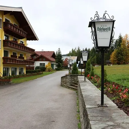 Mountain & *