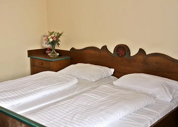 Hostel Mountain Hotel&hostel